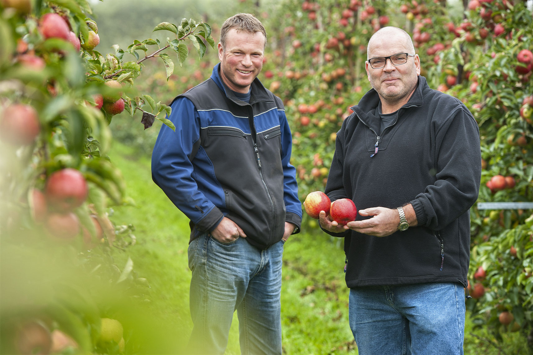 DM-Fruit_Wemeldinge-04