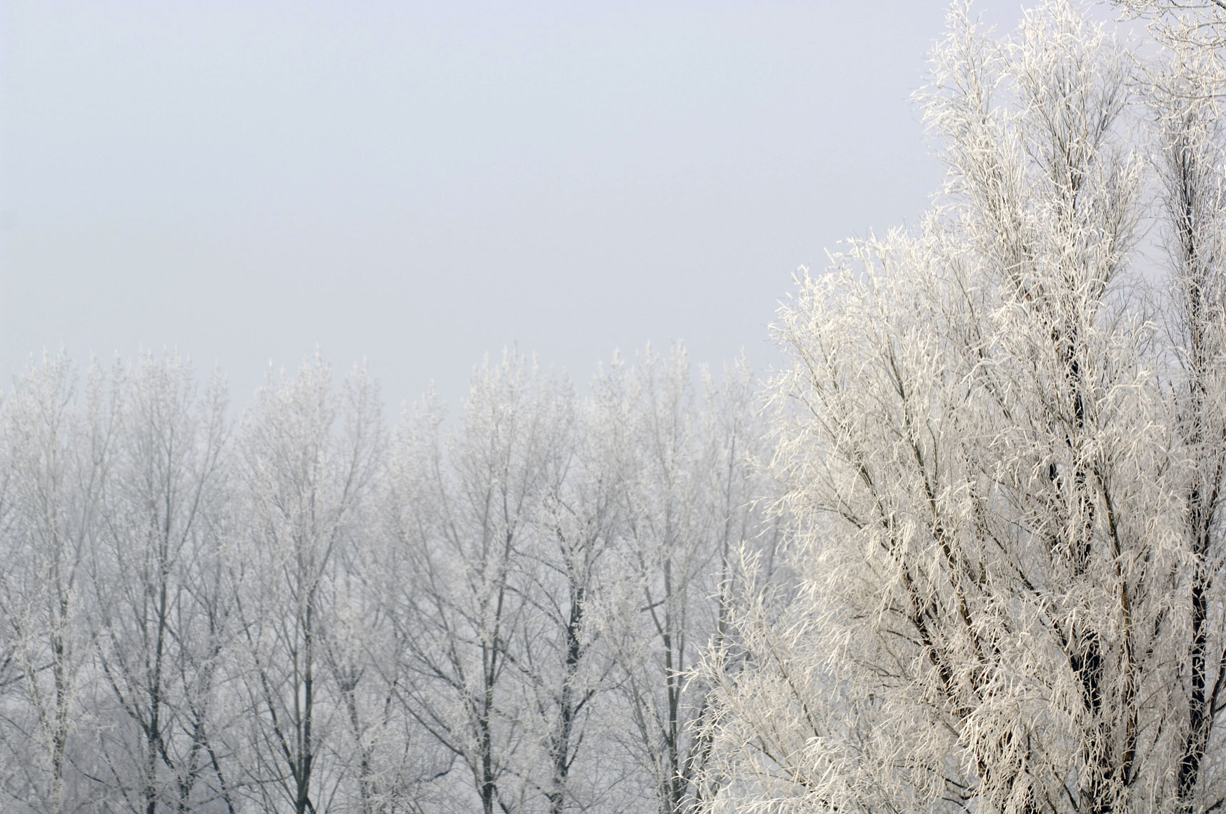 Winter-02